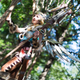 Cosplay by Jenni Bacci | Photo by Anna Fischer